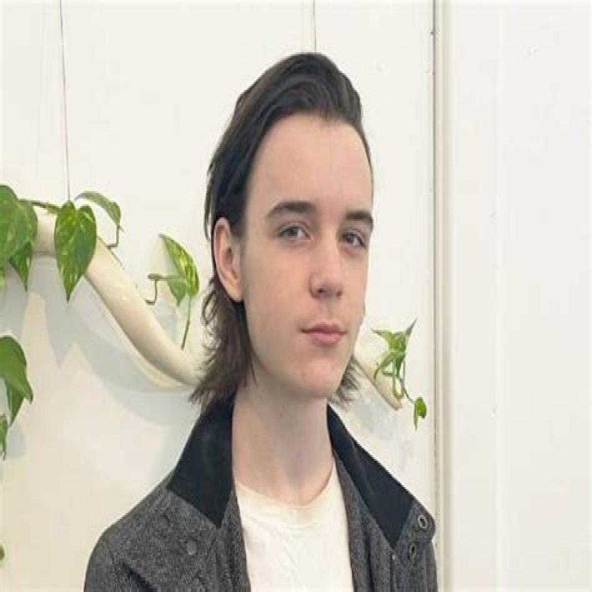 HTML